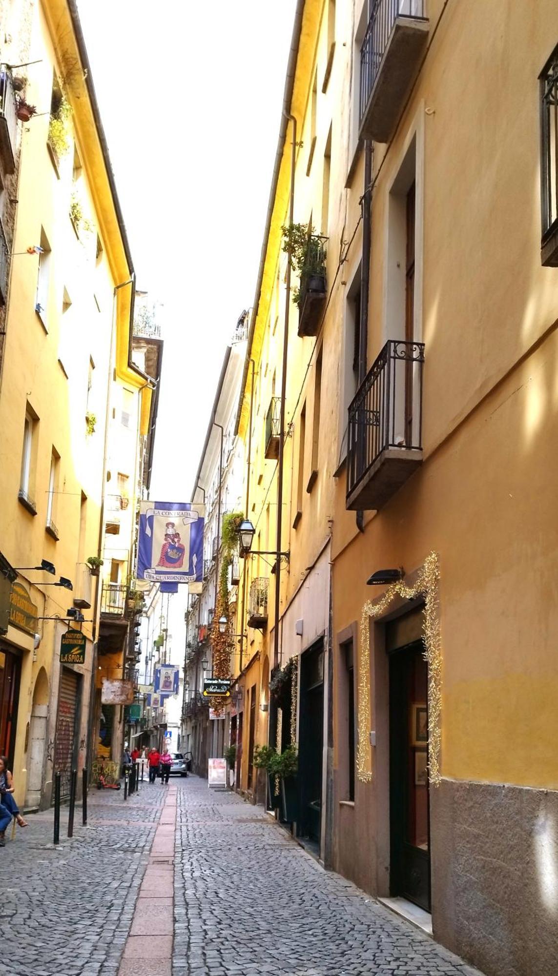 Calin Apartment Turin Exterior photo